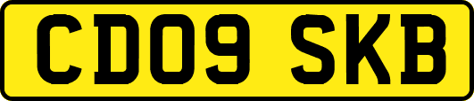 CD09SKB
