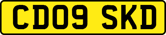 CD09SKD