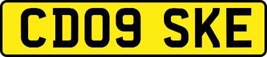 CD09SKE