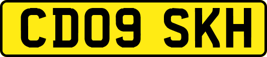 CD09SKH