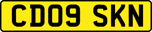 CD09SKN