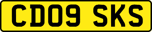 CD09SKS