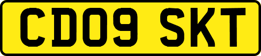 CD09SKT