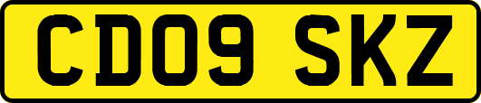 CD09SKZ