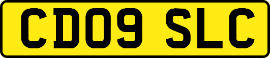 CD09SLC