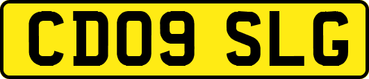 CD09SLG