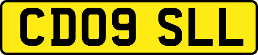 CD09SLL