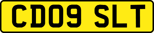 CD09SLT