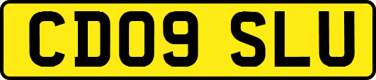 CD09SLU