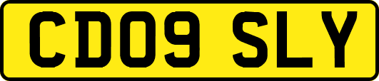 CD09SLY