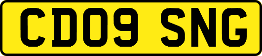 CD09SNG