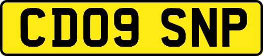 CD09SNP
