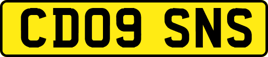 CD09SNS