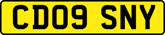 CD09SNY