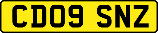 CD09SNZ