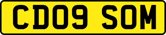CD09SOM