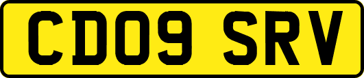 CD09SRV
