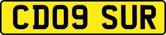 CD09SUR
