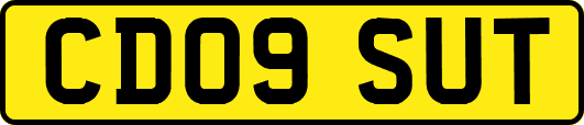 CD09SUT