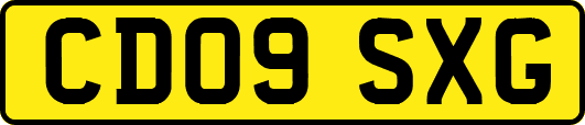 CD09SXG