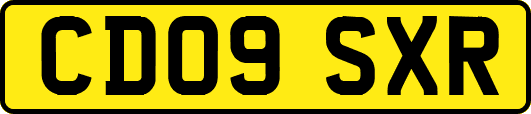 CD09SXR