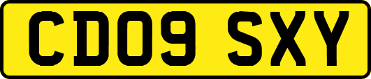 CD09SXY