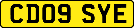 CD09SYE