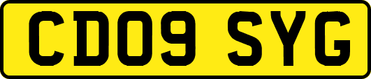 CD09SYG