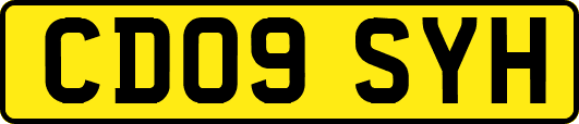CD09SYH