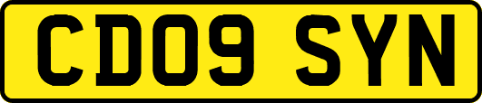 CD09SYN