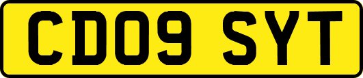 CD09SYT