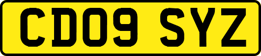 CD09SYZ