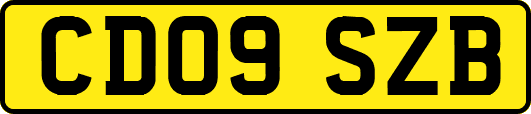 CD09SZB