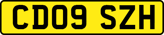 CD09SZH