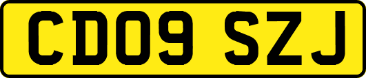 CD09SZJ