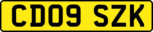 CD09SZK