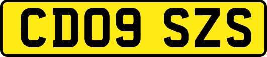 CD09SZS