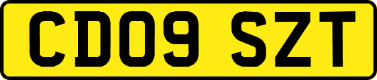 CD09SZT