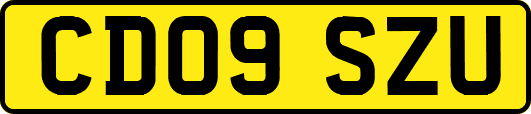 CD09SZU