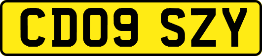CD09SZY