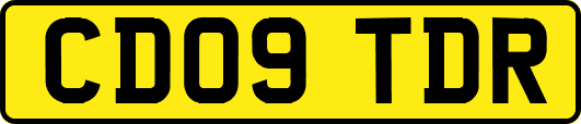 CD09TDR