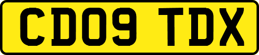 CD09TDX