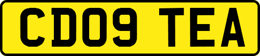 CD09TEA