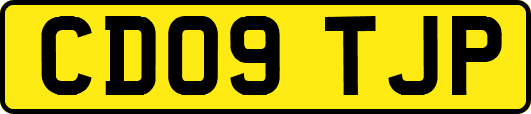 CD09TJP