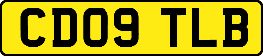 CD09TLB