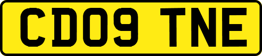 CD09TNE