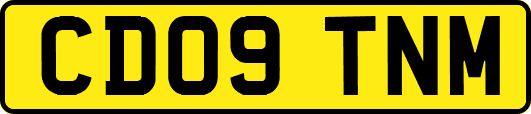 CD09TNM