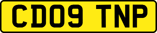 CD09TNP