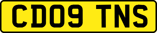 CD09TNS