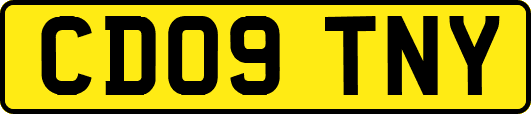CD09TNY